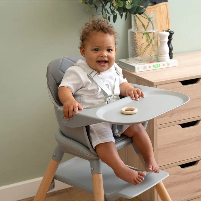 6in1 Eat & Play High Chair