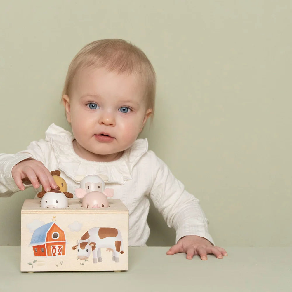 Pop-up Toy Little Farm FSC