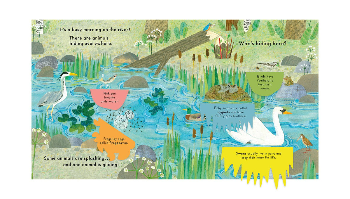 National Trust: Who's Hiding on the River?