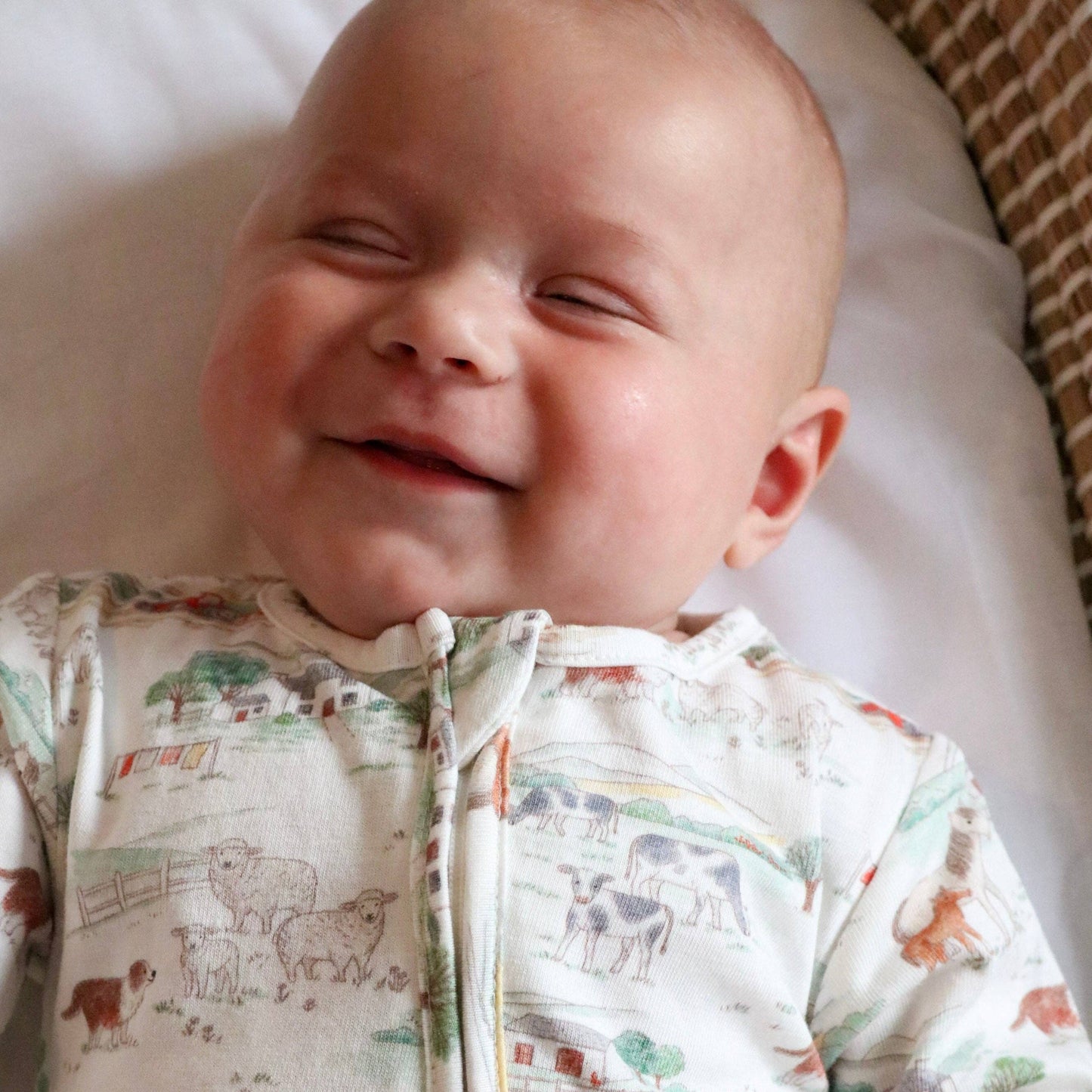 Farm Sleepsuit