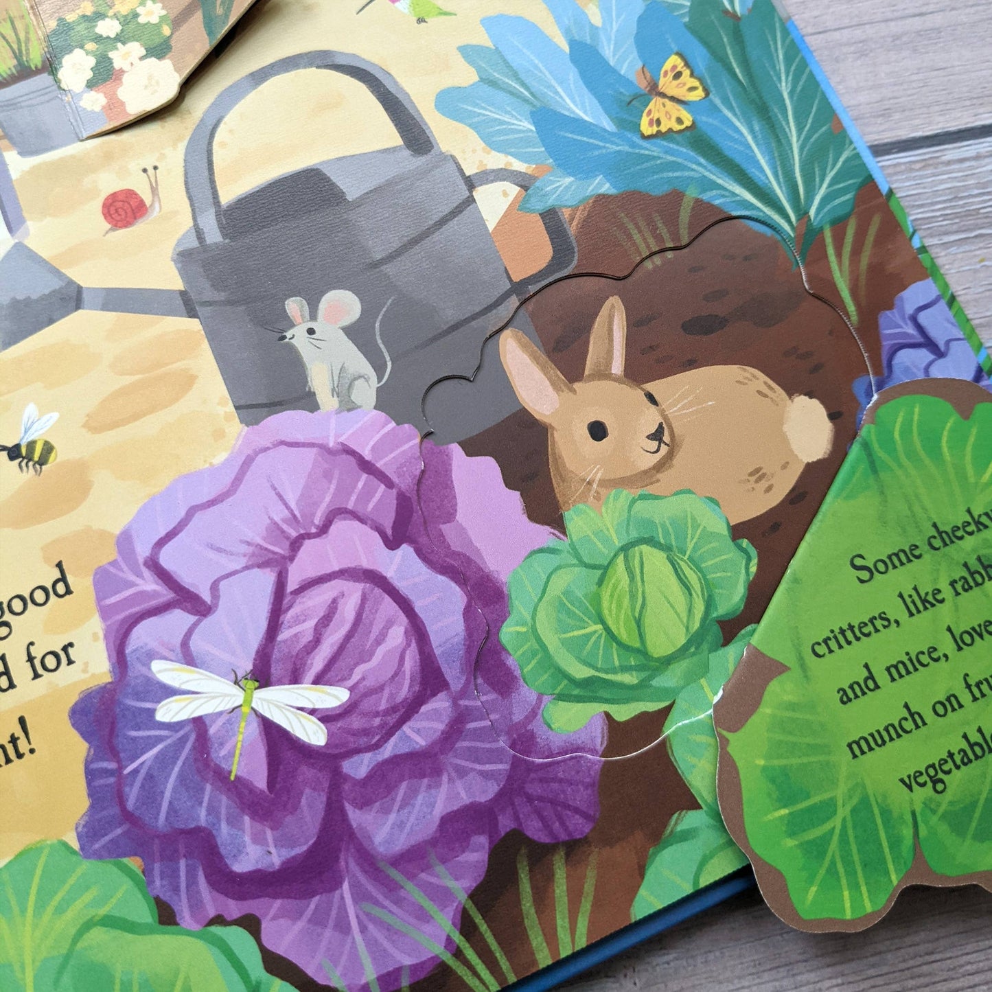 Nature Die Cut Book - Garden