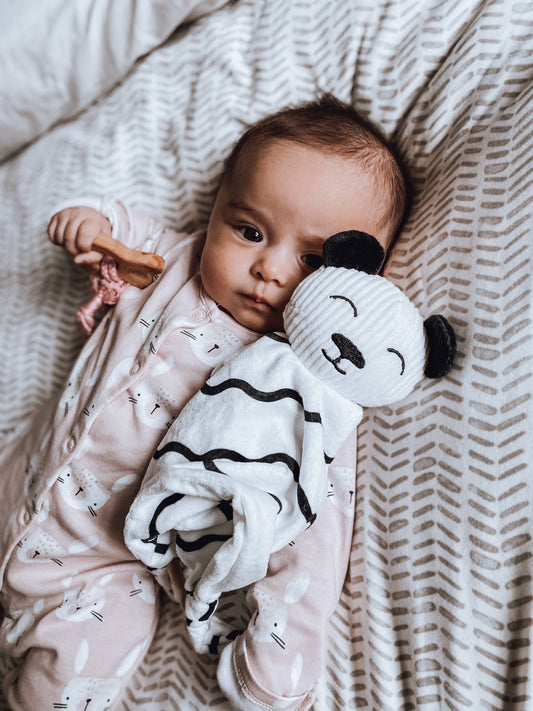 Panda Baby Comforter Toy