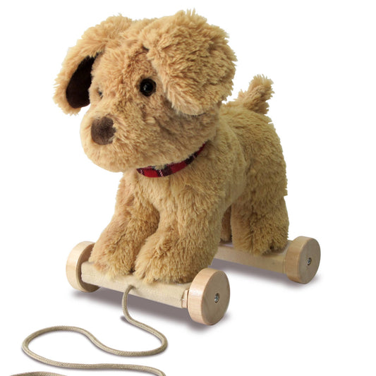 Dexter Dog Pull Along Toy