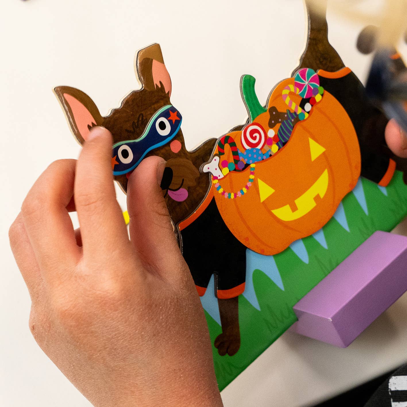 Magnetic Dress Up - Pets