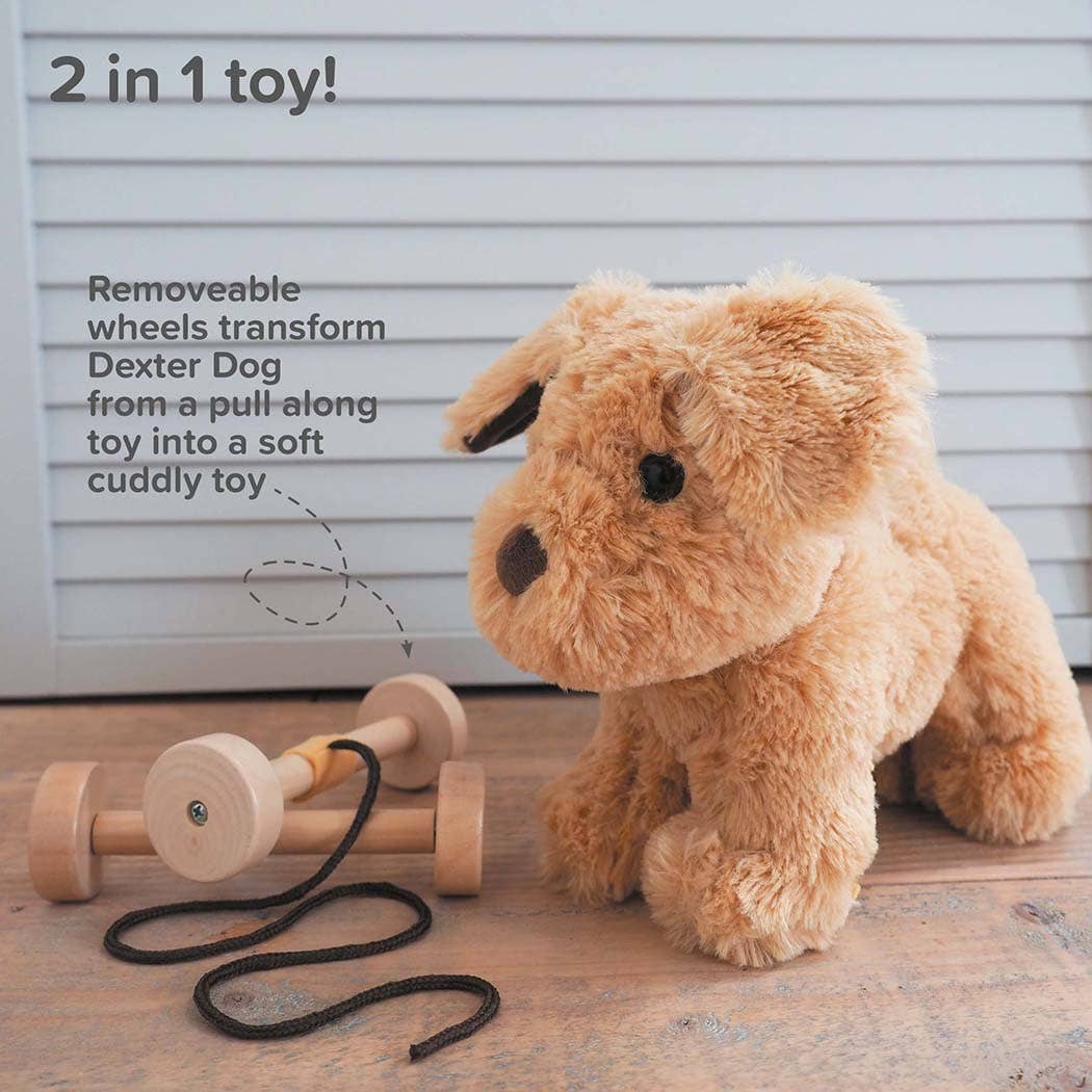 Dexter Dog Pull Along Toy