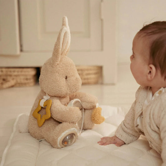 Activity Cuddle Toy Baby Bunny GRS