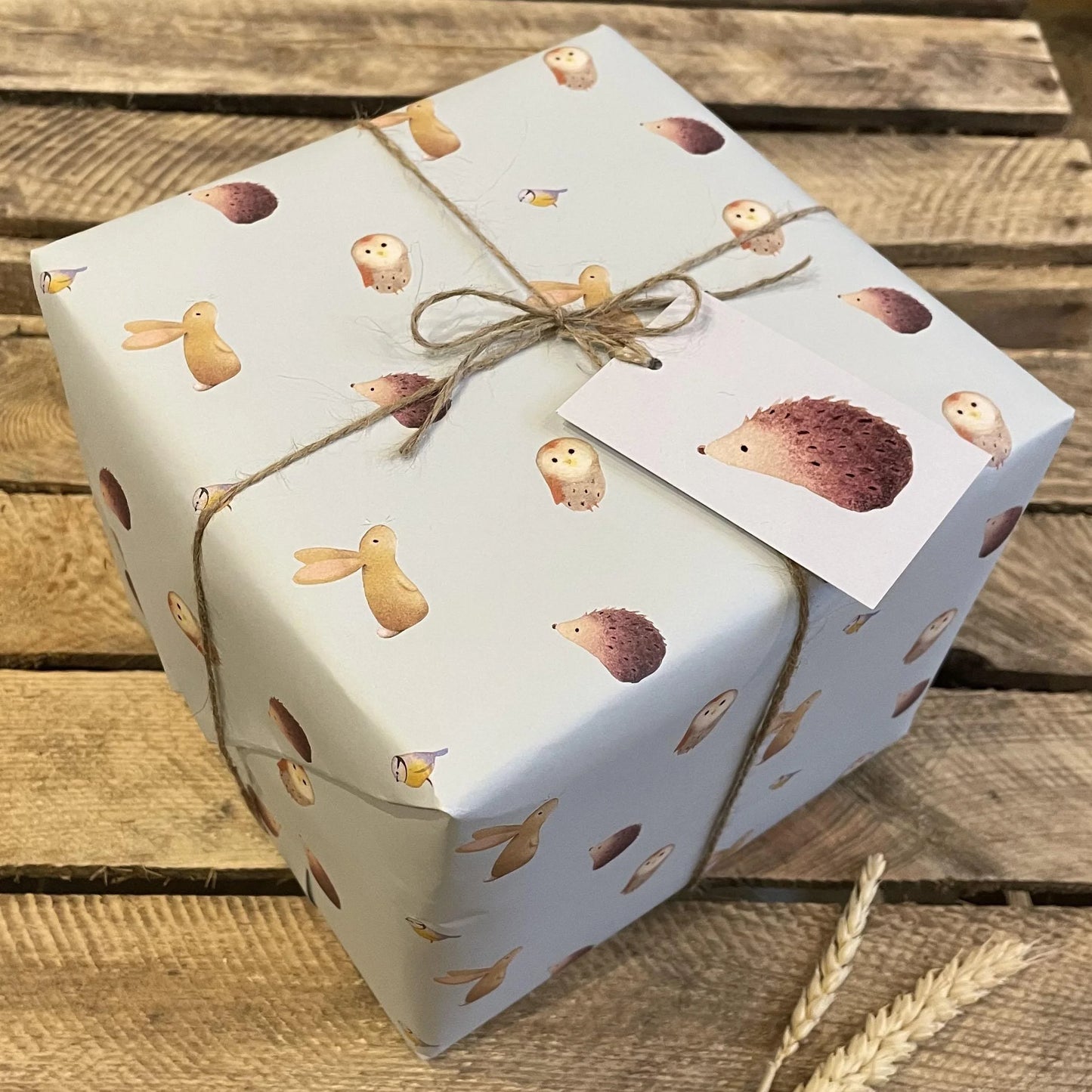 Gift Wrap Aqua